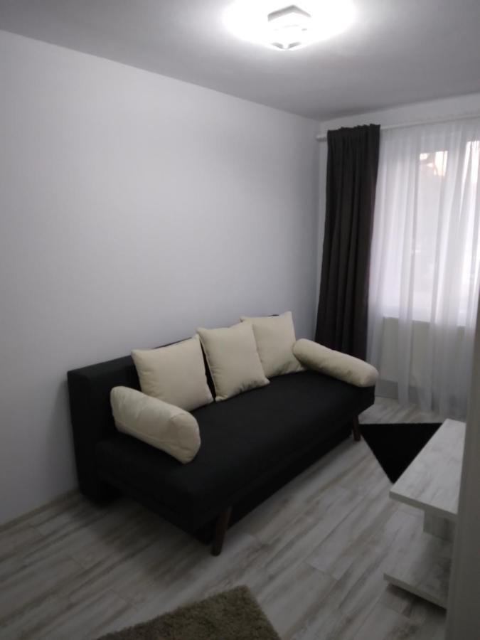 Luxury Apartament Curtea De Arges Exterior photo