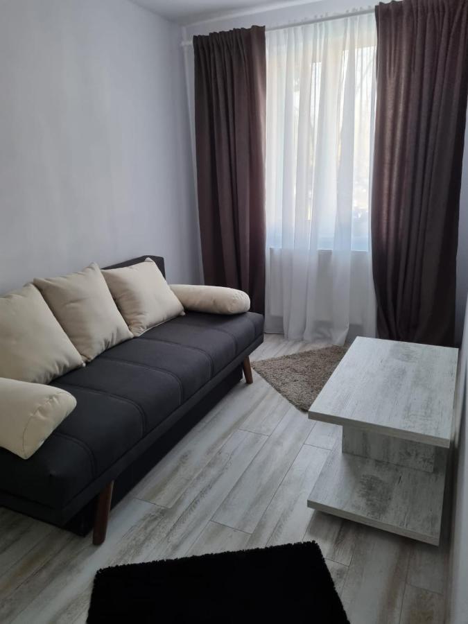 Luxury Apartament Curtea De Arges Exterior photo